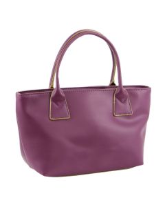 Milleni Mini Handbag Bag in Plum