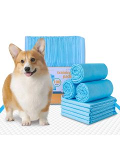 100pcs Dog Absorbent Training Pad 60 x 60 cm