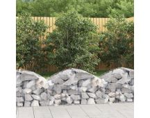 vidaXL Arched Gabion Basket 100x50x40/60 cm Galvanised Iron