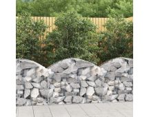 vidaXL Arched Gabion Basket 100x50x60/80 cm Galvanised Iron