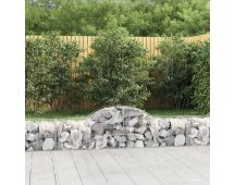 vidaXL Arched Gabion Basket 200x50x40/60 cm Galvanised Iron