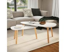 vidaXL Coffee Table Set 2 Pieces Solid Pinewood White