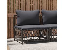 vidaXL Garden Middle Sofa with Cushions Anthracite Woven Fabric