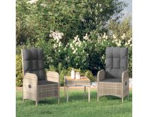 vidaXL Outdoor Chairs 2 pcs Poly Rattan Grey