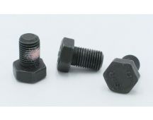 Spicer hex cap self locking bolt 1810/1710