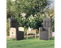 vidaXL Outdoor Reclining Chairs with Cushions 2 pcs Poly Rattan Grey