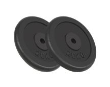 vidaXL Weight Plates 2 pcs 2x20 kg Cast Iron