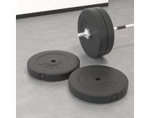 vidaXL Weight Plates 2 pcs 30 kg Cement