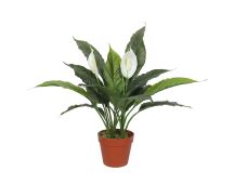 Artificial Spathiphyllum Peace Lily Plant with White Flowers 60cm