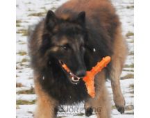 Major Dog Whirl Fetch Toy - Large