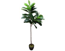 Tall Artificial Fiddle Leaf Fig 170cm