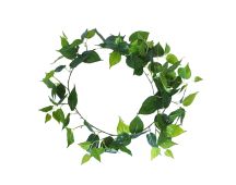 Long Philodendron Garland 190cm