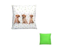 Georges Fine Linens Georges Fine Linens Spot the Dog Square Filled Cushion 43 x 43 cm