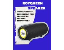 ROYQUEEN Bluetooth Speaker,30W Loud Stereo Sound Portable Speaker, Deep Bass, IP67 Waterproof and Dustproof, Wireless Dual Pairing, Built-in Mic, for Outdoor, Indoor