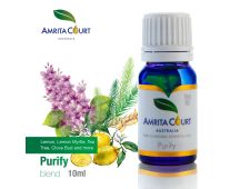 Amrita Court Pure and Essential Oils Purify 10ml